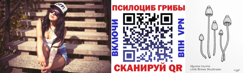 как найти   Дюртюли  Галлюциногенные грибы Cubensis 